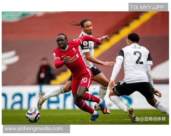 英超挑战赛特别报道成都篮球队拼搏历程与荣耀追寻